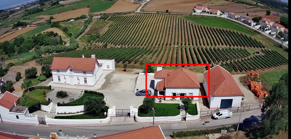 Comfortable Vineyard House in the Silver Coast preview