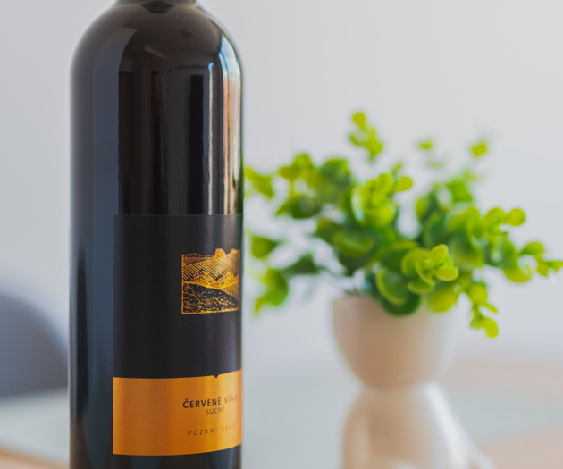 Wine bottle and plant decor