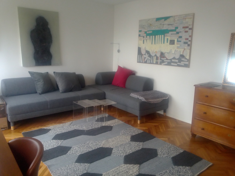 Spacious apartment full of light and art preview