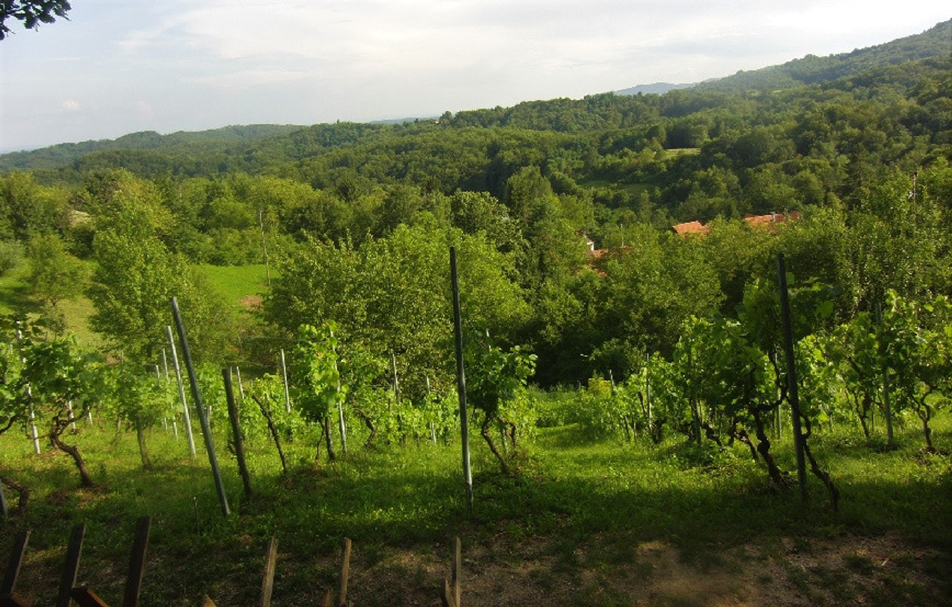 Landschaft