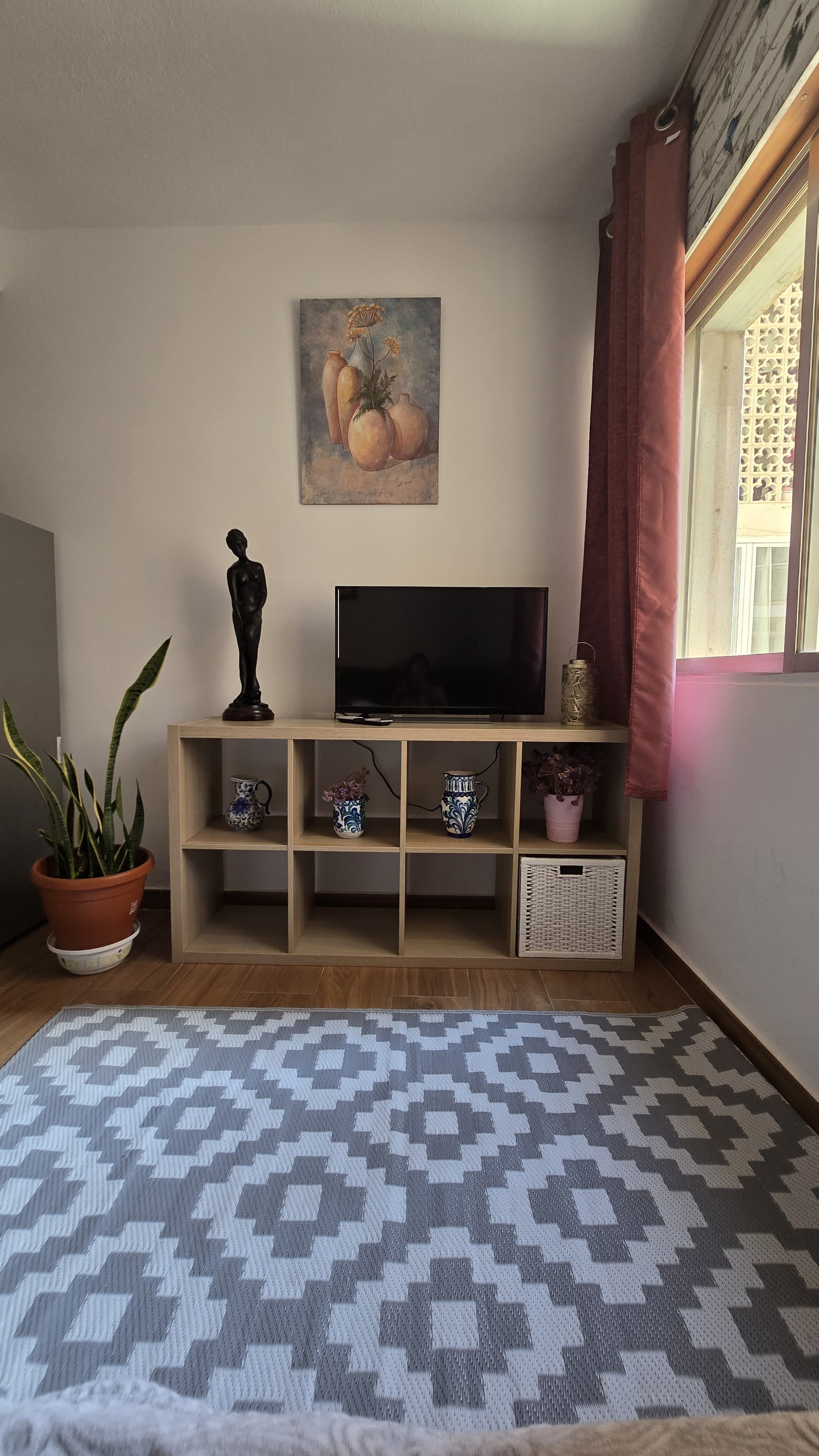 TV unit with decor and plant