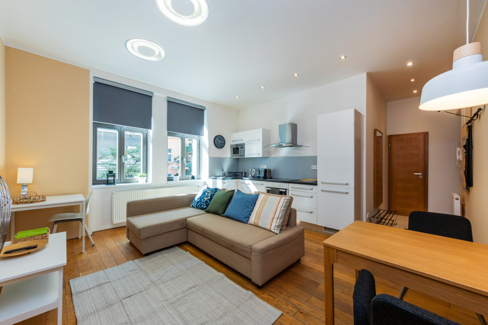 Cosy and bright flat in Vinohrady/Žižkov preview