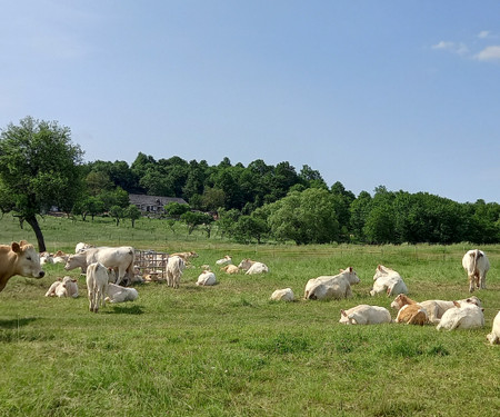 Spacious mobile home, remote fam farm