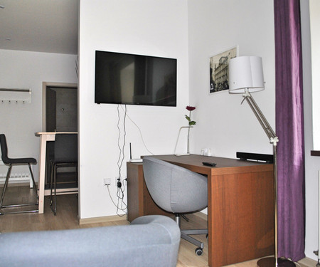 One-bedroom apartment, Old Brno, Pekařská I.