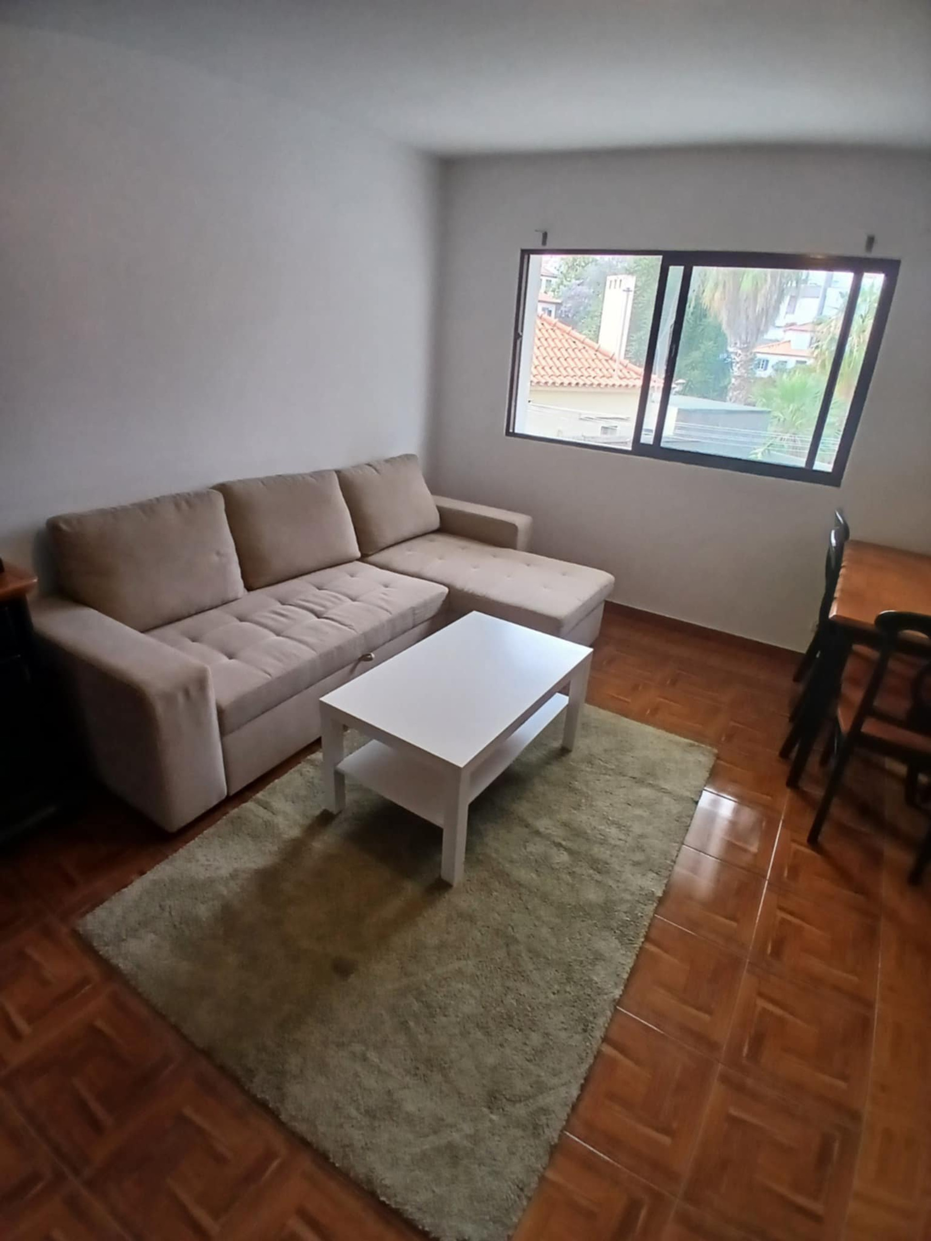 Bright living room with sofa