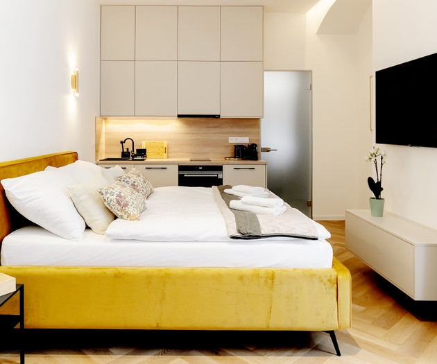 Designer Apartment in the Heart of Brno , 1+kk
