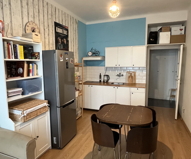 Cozy 1+1 apartment Vinohrady