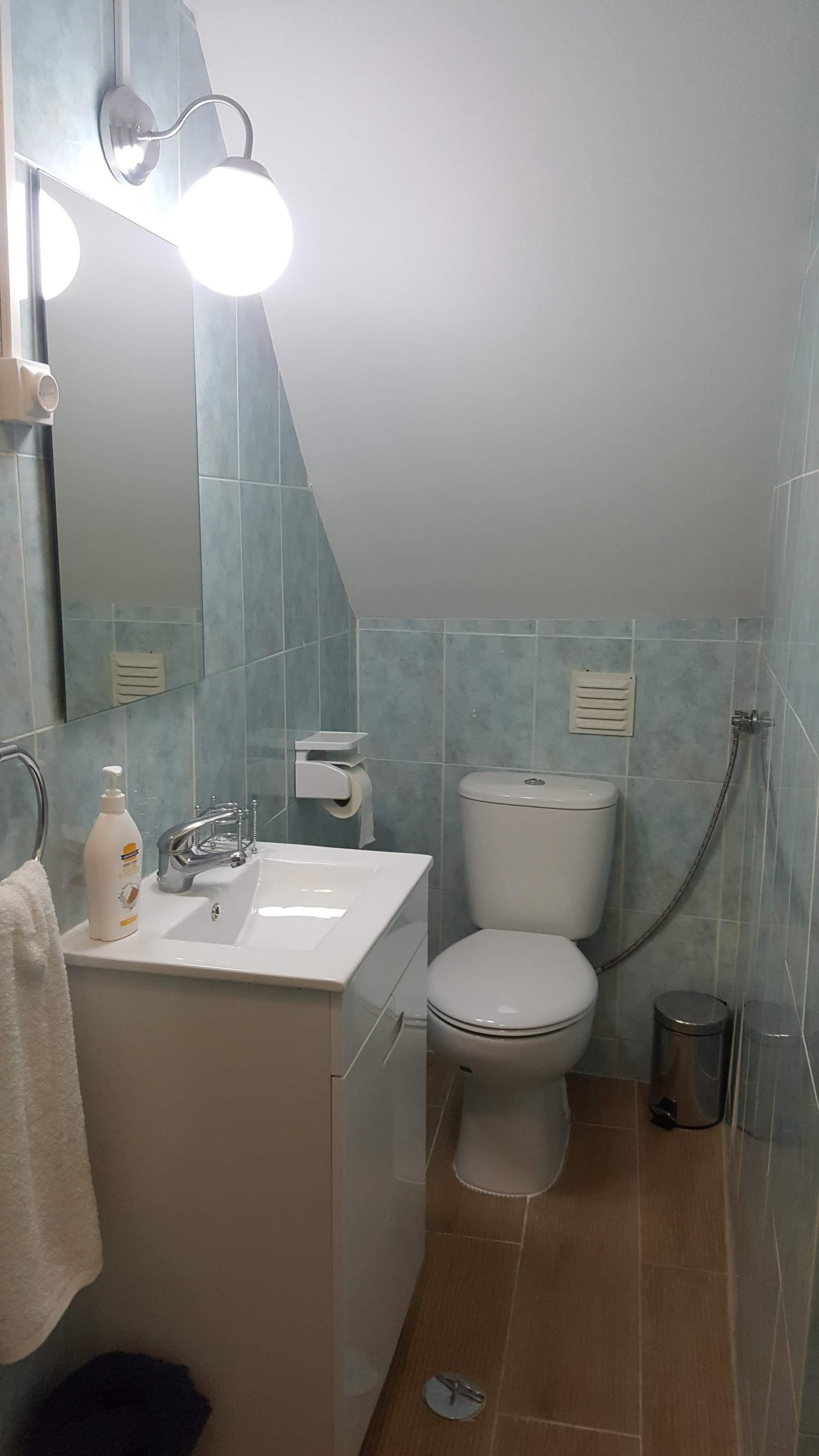 Bathroom with toilet and sink