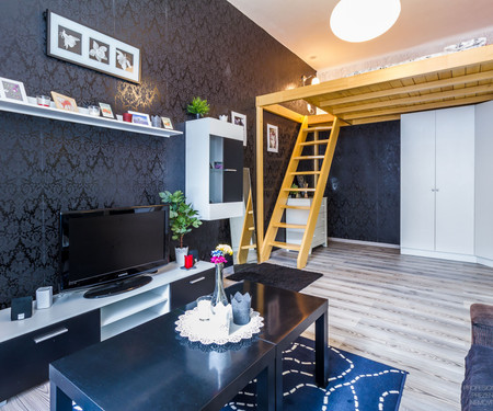 Cozy apartment in the heart of Žižkov