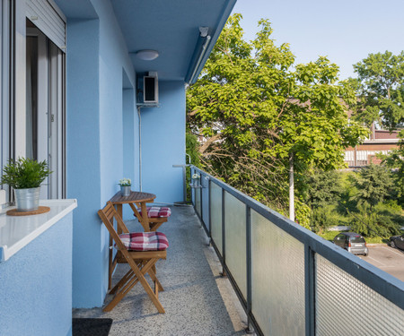 Spacious 2BDR Apartment with Beautiful Terrace