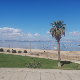 Landlords profile photo