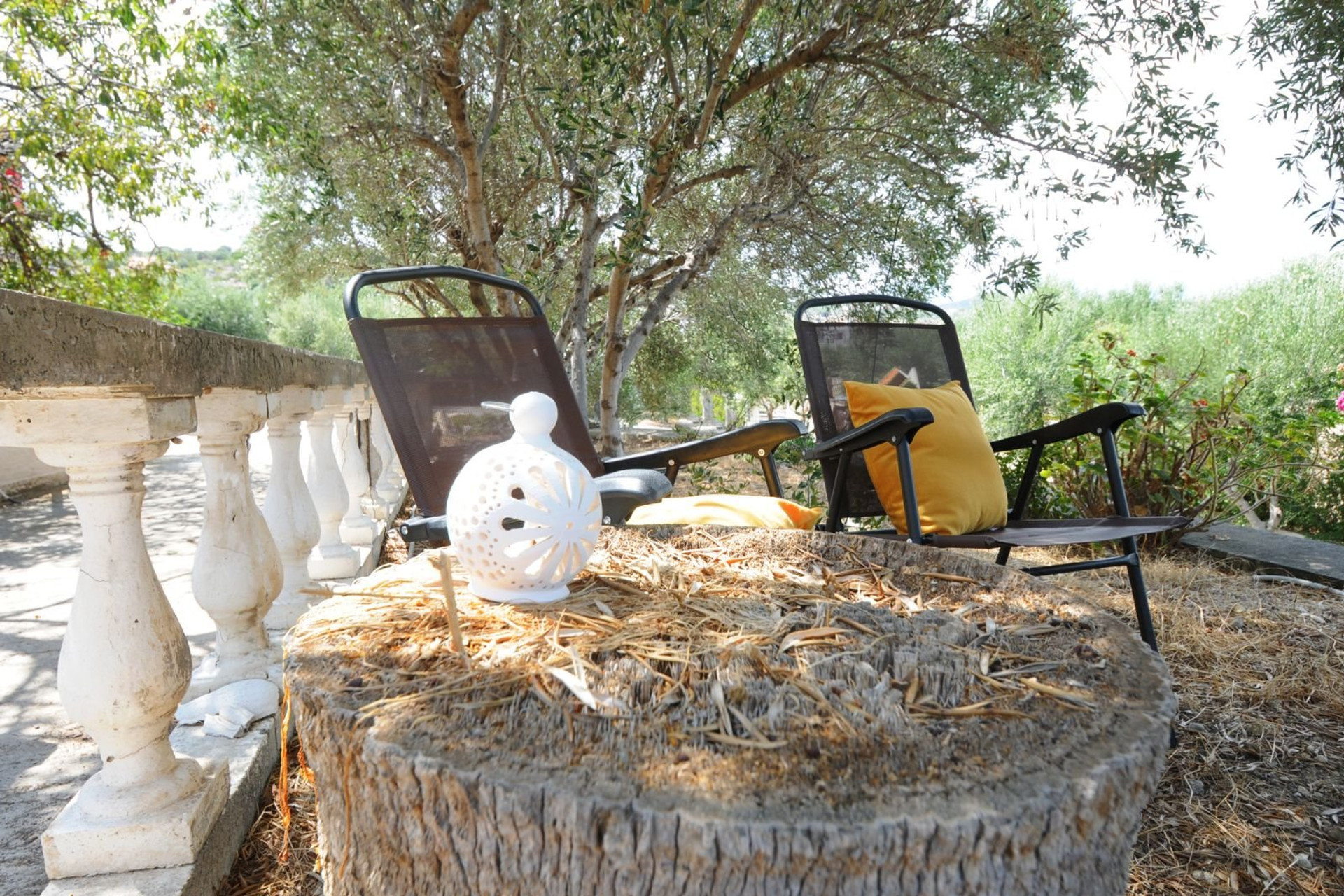 A peaceful outdoor corner with comfortable seating, set among trees and greenery, an ideal spot to relax and enjoy nature.