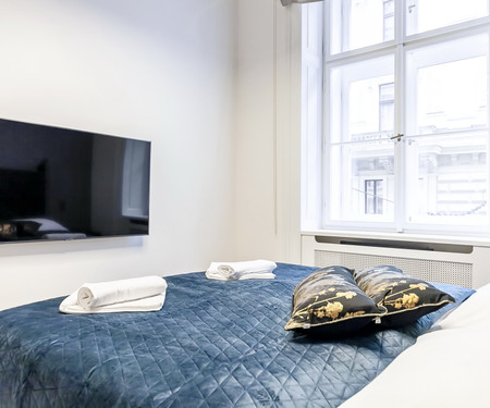 Brand new bijou apartment in the city centre