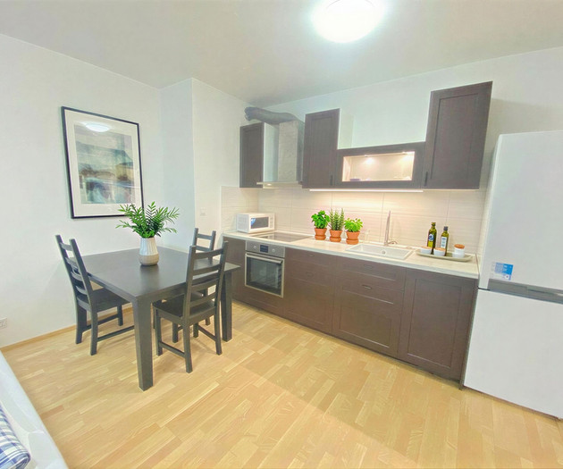 Modern Renovated Apartment with Balcony