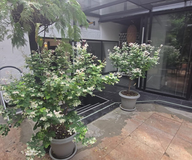 Cozy Executive Suite 7 Digital Nomad Hub Medellin