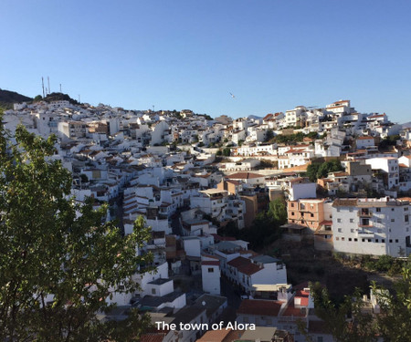 Charming guesthouse in rural Malaga - Double room Flor