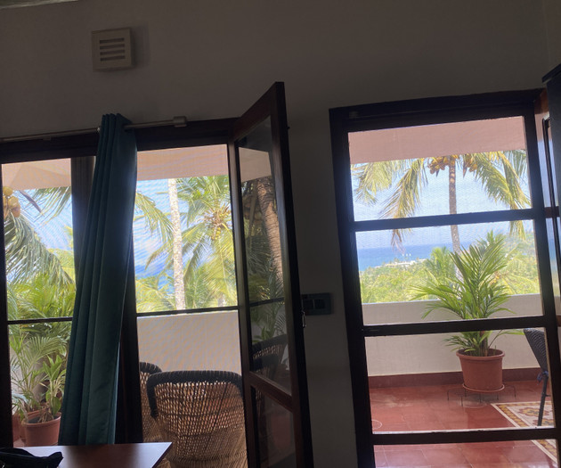 Balcony doors with palm views