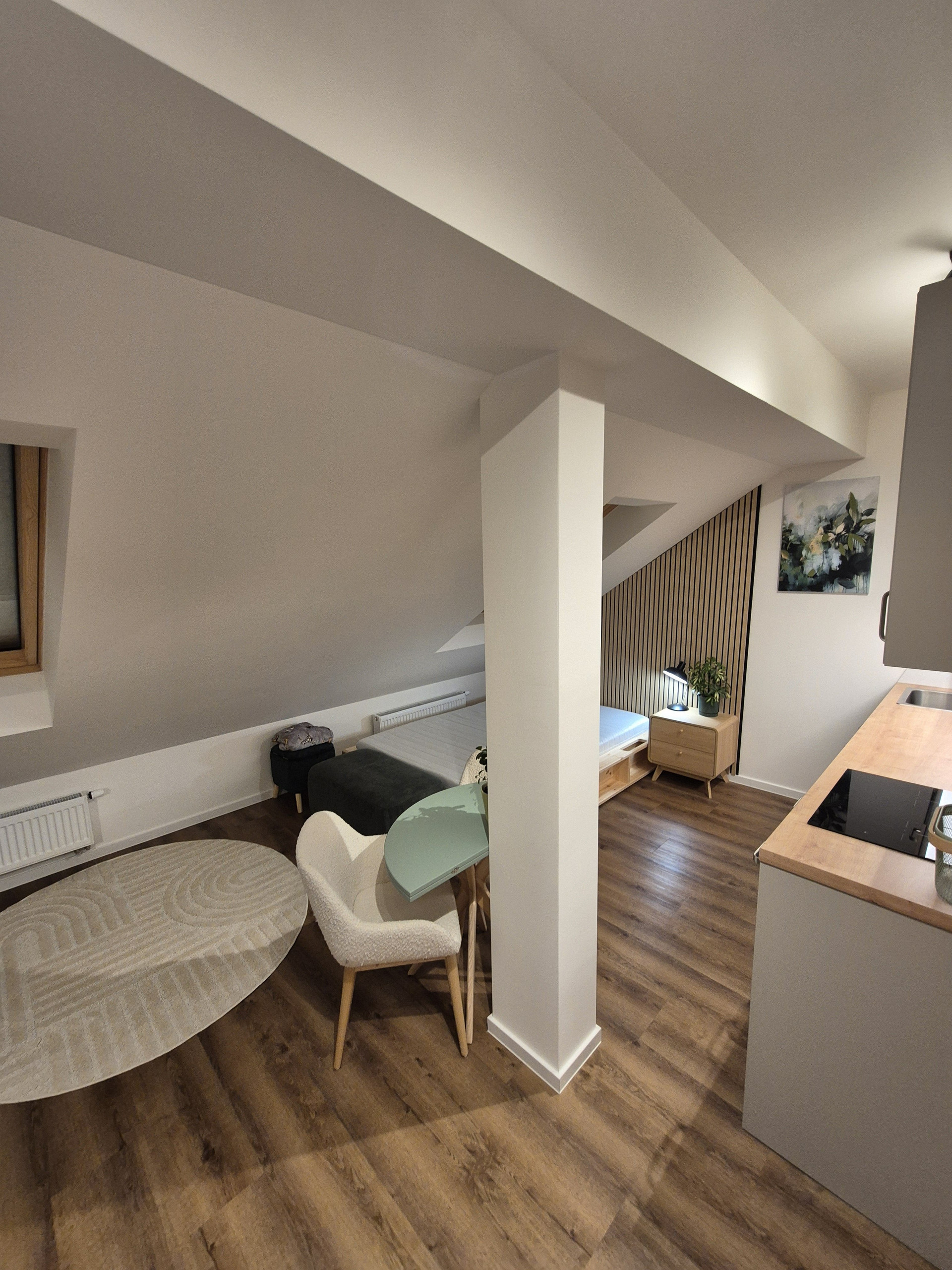Full apartment overview attic layout