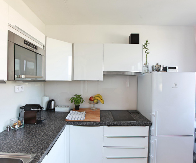 One-bedroom apartment, Karlín, Molákova