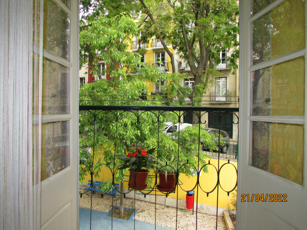 Alfama with garden view