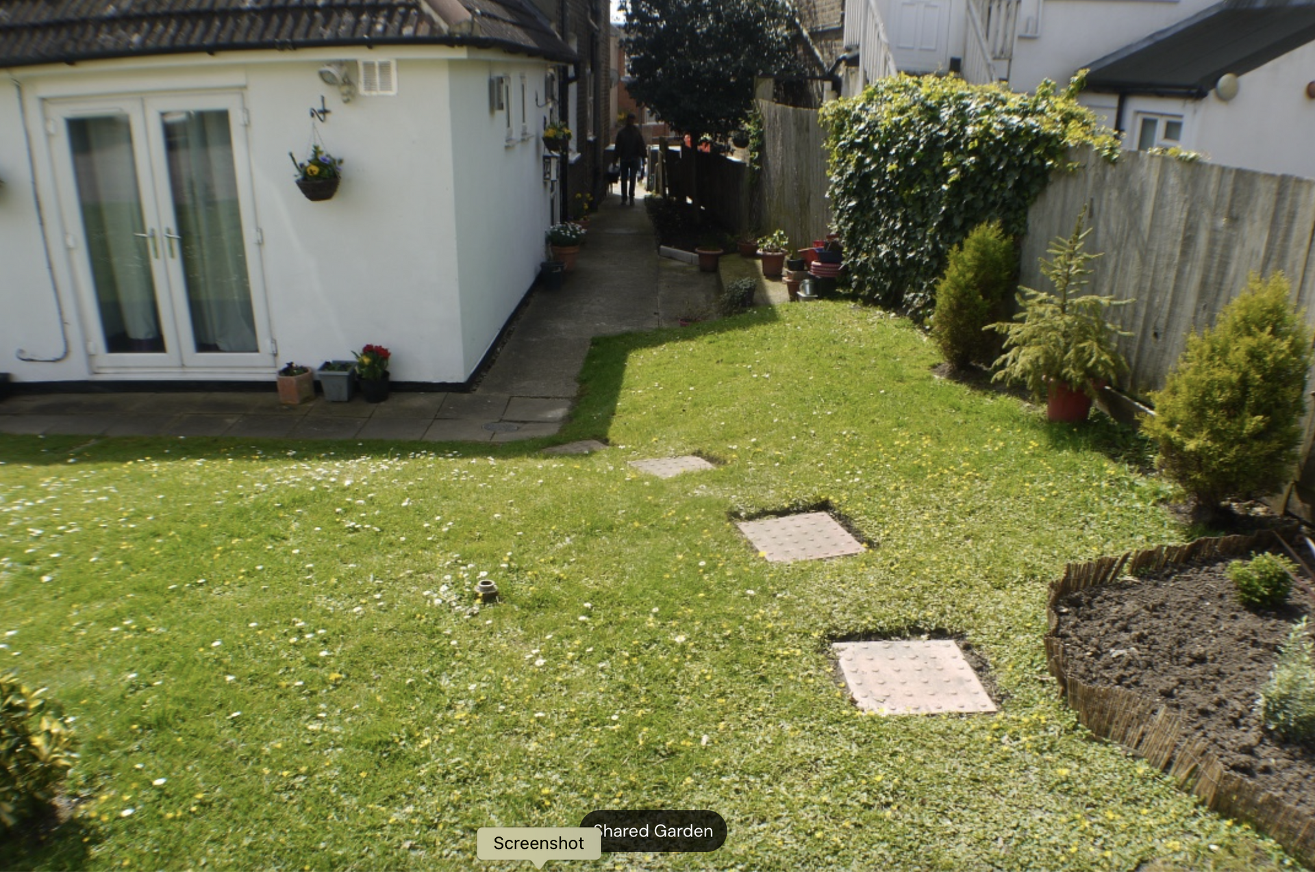 Shared garden with lawn