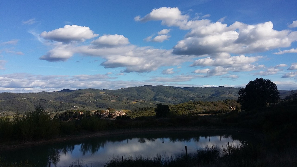 Room in the Chianti hills preview