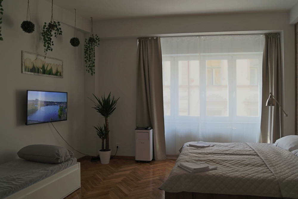 Modern 2BR apartment near Karlovo Namesti