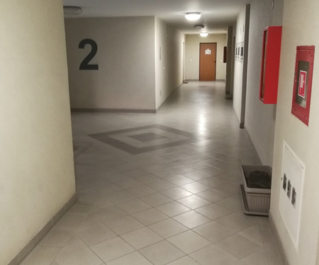 Apartman Adžijina ulica