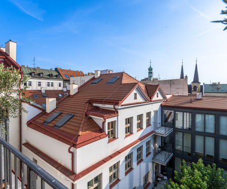 Penthouse with terrace in sunny Prague