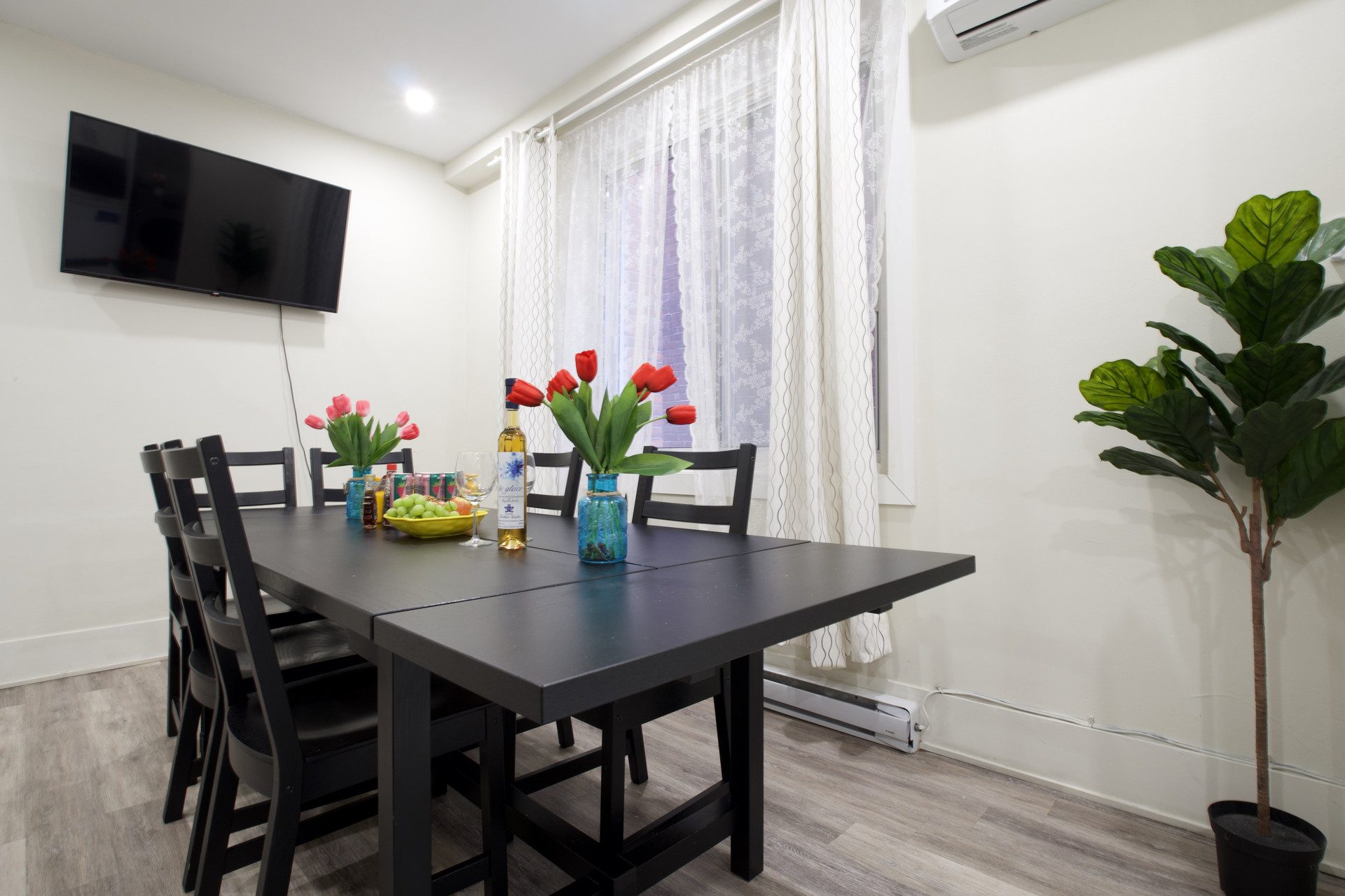 Dining room with TV and plant