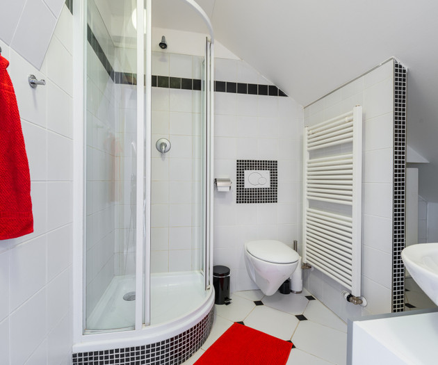 ROOF APARTMENT with TERRACE near WENCESLAS Sq.