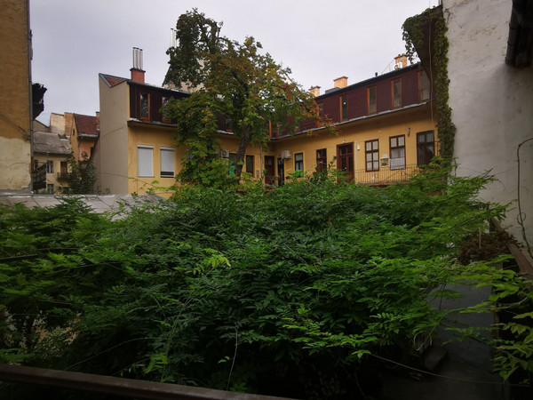 Zahrada