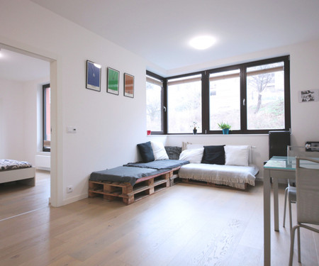 New modern apartment next to Vltava river