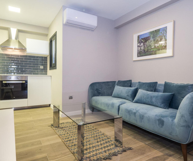Apartamento de 1hab con espectacular terraza