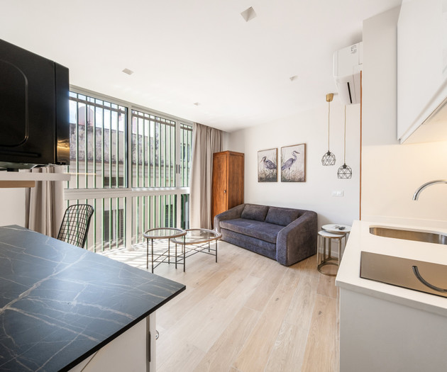 Confy attic with terrace 1 bedroom right in Born