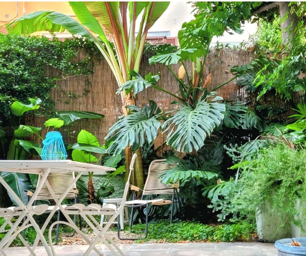 The Orange Garden preview