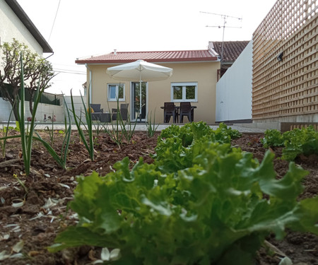 House with sunny courtyard in Coimbra