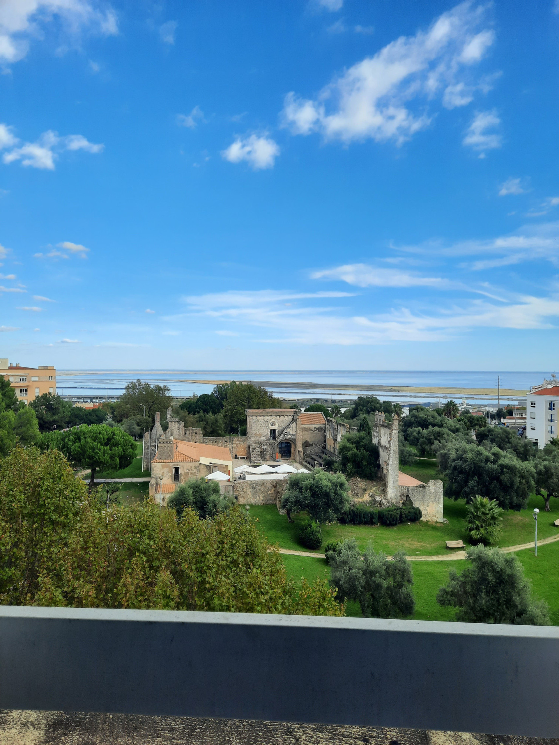 dinning room view