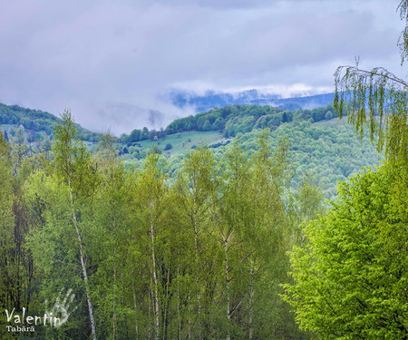 Transylvanian Cottage with Private Swimming Pool