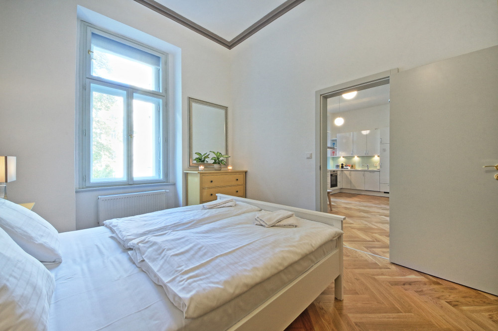 Beautiful and equipped 2 rooms apartment/Vinohrady