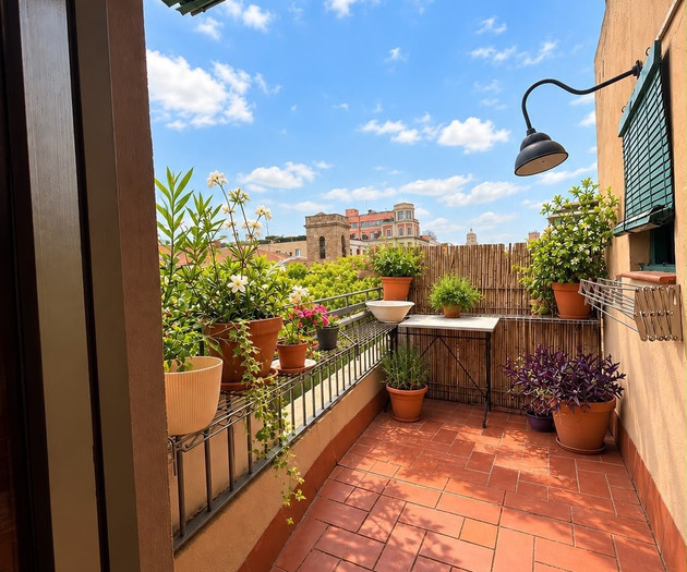 Terrace with potted plants and views