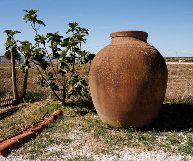 Large clay amphora in garden