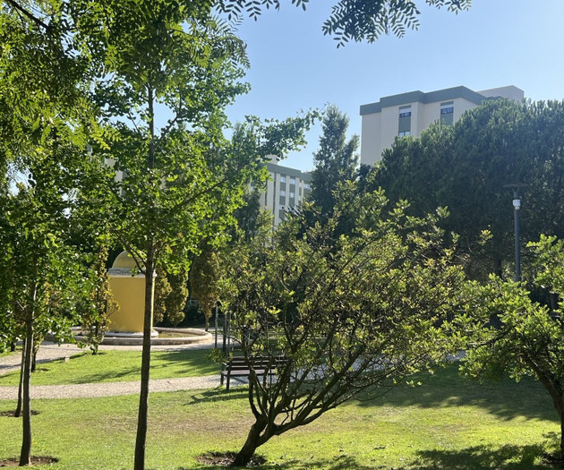 Green park with trees and lawn
