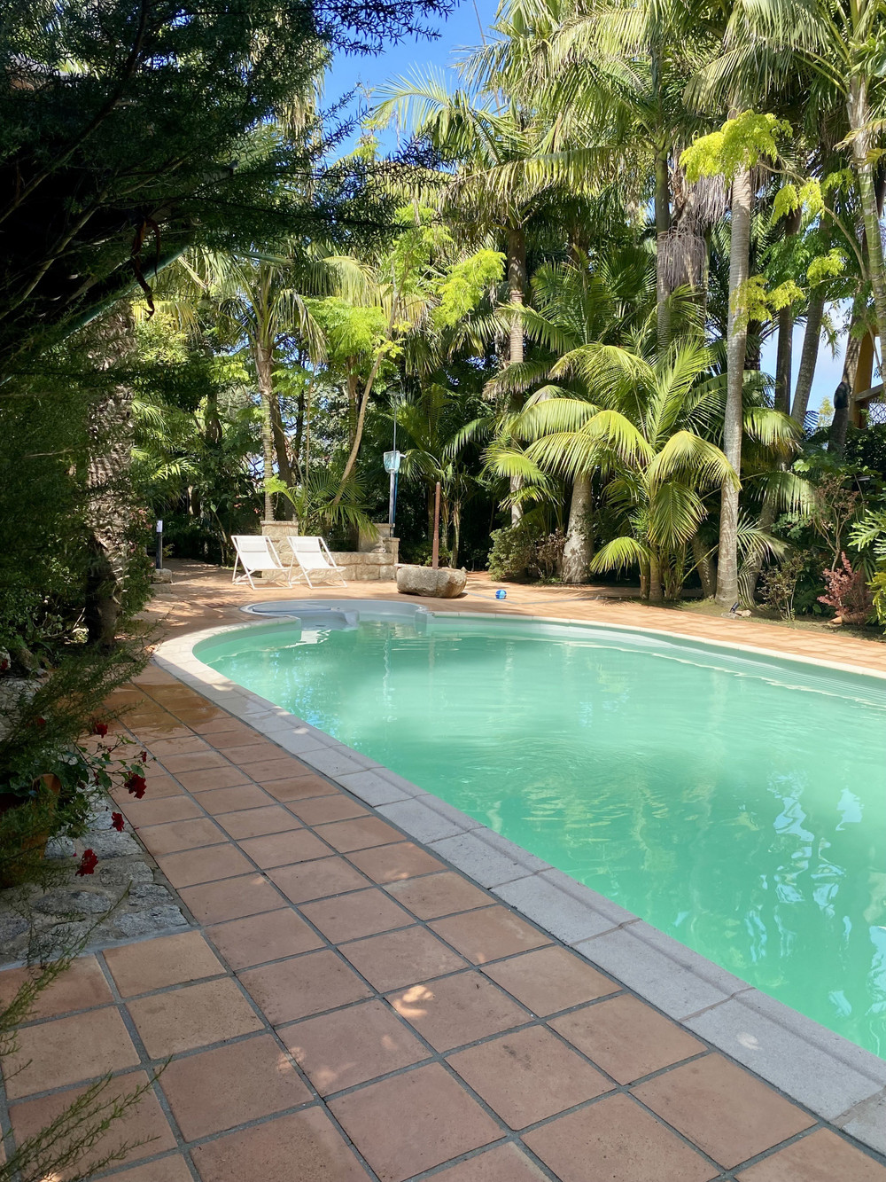 Oasis with pool, horses & fast Wi-Fi preview