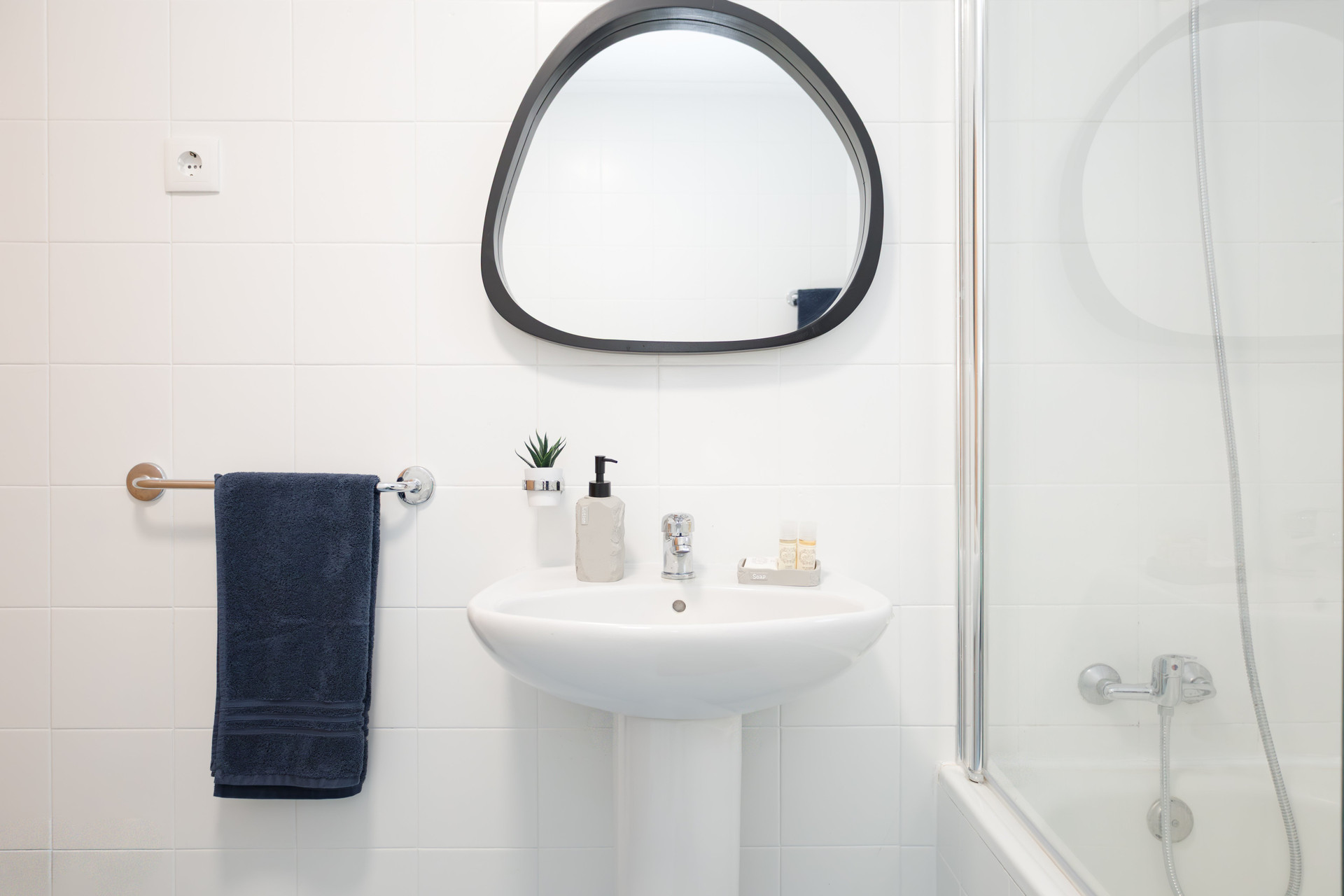 Modern bathroom sink and shower