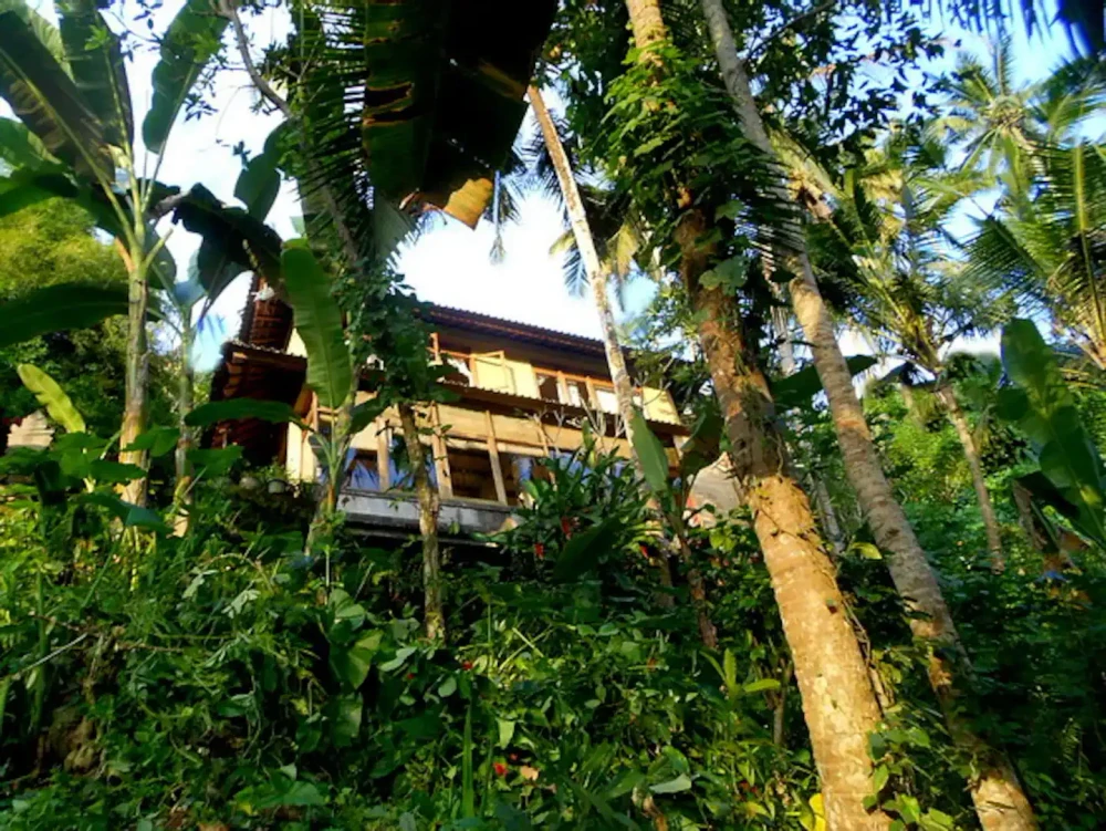 Entire villa in Ubud Area (Bali) preview