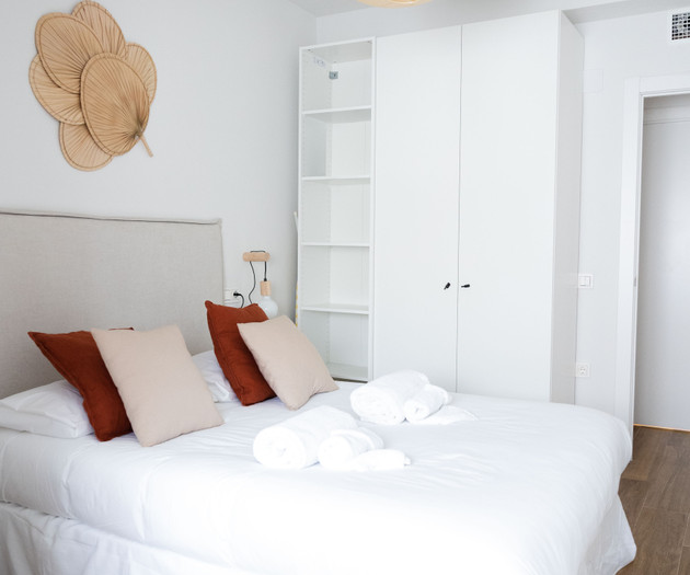 Exclusive cozy Atocha apartment