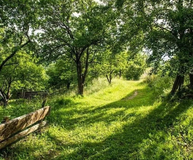 The farm is located 13 km from Mojkovac