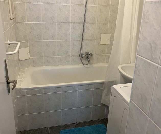 Cozy 1+1 apartment Vinohrady