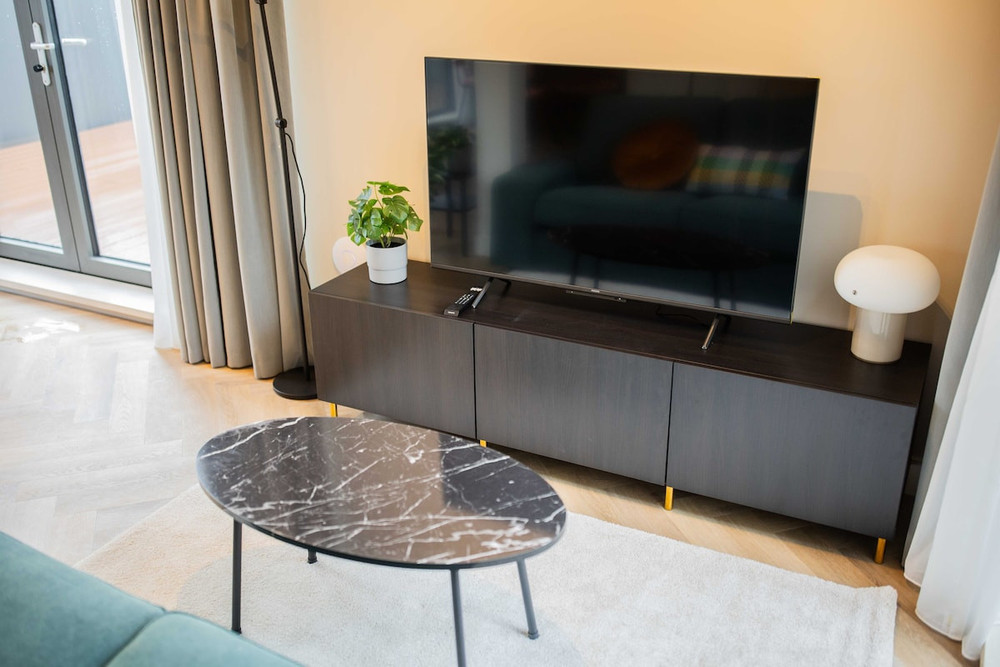 Sophisticated Penthouse Studio KS preview